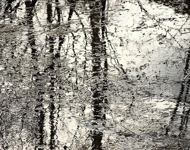 SteveDee43's tweet photo. Cold reflection 
#winter #cold #monochrome #natural #reflection https://t.co/ZW645EdxMa https://t.co/lNJ3xQQmQO