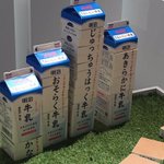おもしろい作品!牛乳のパックだけでこれができるらしいです。