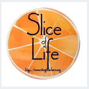 WymansWonders's tweet photo. May 4th now #SOLC20 #SOL20 https://t.co/extEWBLY0P https://t.co/WbcBEzkgIJ