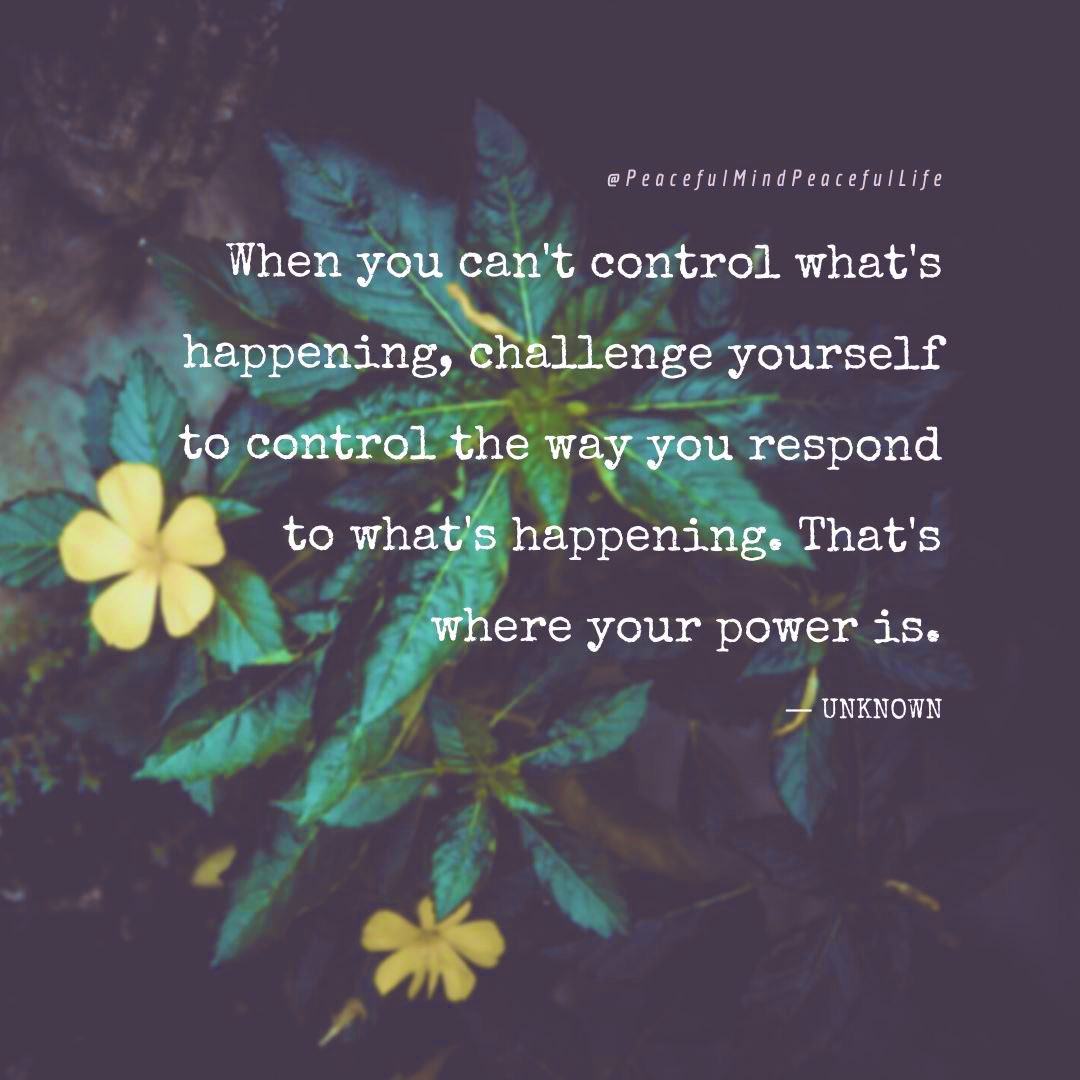 KolbClass's tweet image. Missing my gators! Please share this quote with your kiddos! They loved reading/analyzing quotes every morning. #gpgatorleaders