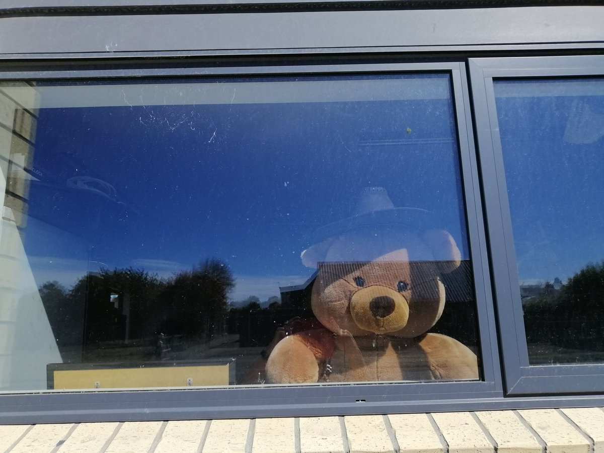 AnnaNicol18's tweet image. Teddy bear hunts are for adults too! On today's walk I counted 93 including my one