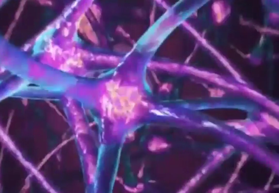 Anime Edits 🍃 tweet media