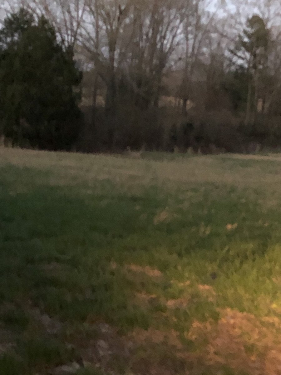 jbraytrucker's tweet photo. My farm is turning in to spring time. Peaceful https://t.co/ma9K1jr7hN