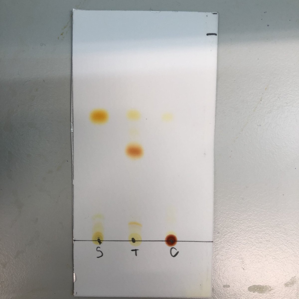 KimberleyD_PhD's tweet image. Quite a relief really when the TLC plate you’re filming works well... #iknowstuff #science #actuallyachemist