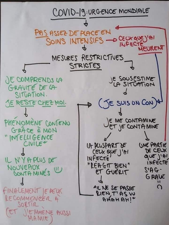 GlargineTonique's tweet image. Petit arbre par mon meilleur ami ♥️