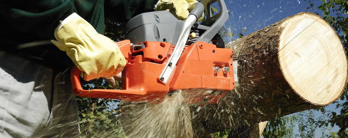 CfbLandscape's tweet photo. We are experts in a variety of processes and methods to make sure we implement the perfect solution for your tree problem. https://t.co/cE3C3JT2cV