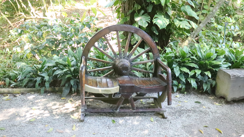 courtesycandwl1's tweet photo. St. Lucia Botanical Gardens, also known as the Diamond Botanical Gardens, is home of the Diamond Waterfall and the oldest botanical gardens on the island of St. Lucia. https://t.co/cAwN3jpp2x
