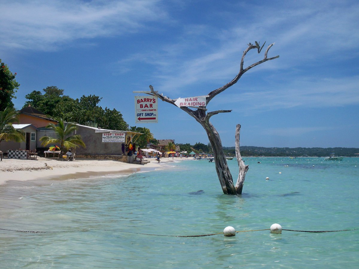 TelisArchos's tweet photo. @KoriKapouletou @To_pouli_tou_Ro Negril , Jamaica https://t.co/0oGRV112AG