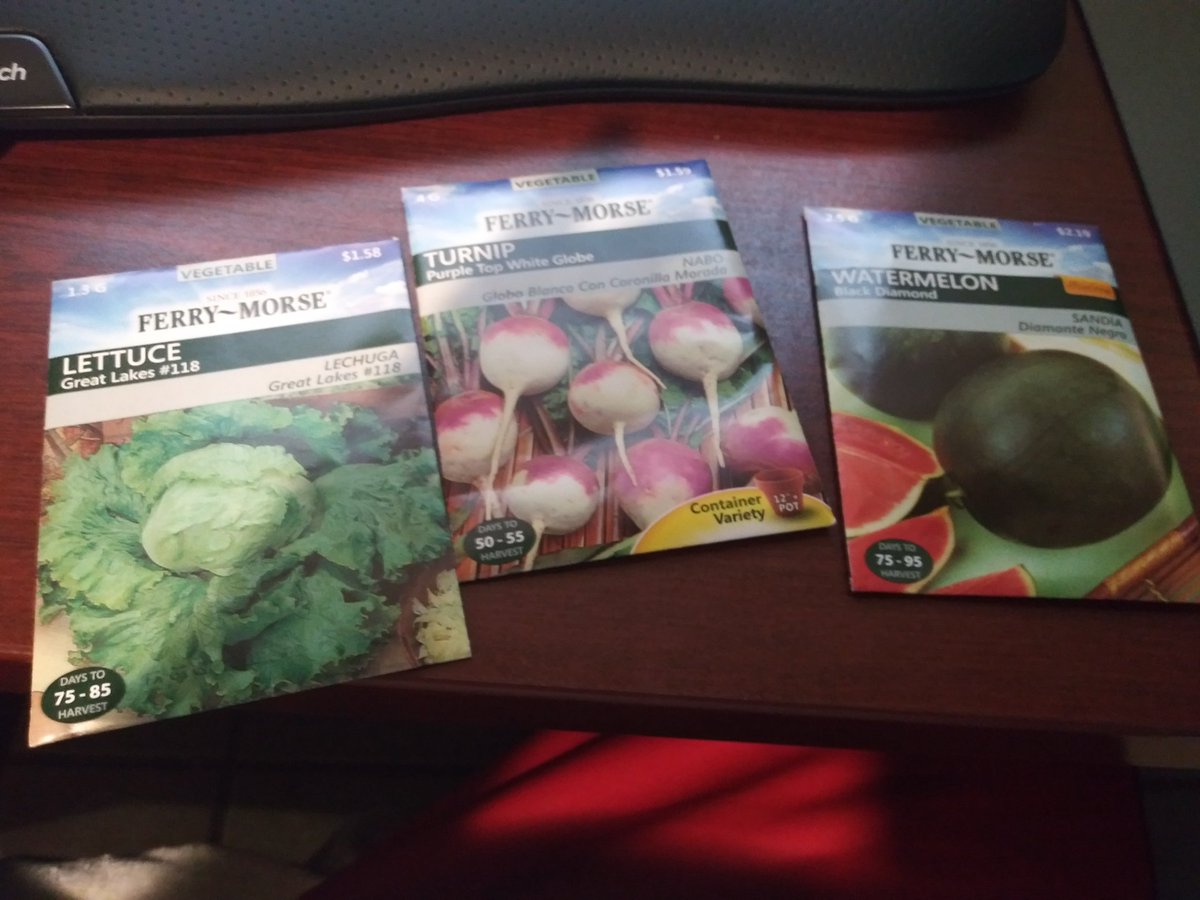 R3DF0X0N3's tweet photo. Sustainable living starts at Home. During the Pandemic Shenanigans of Government, Globalism and Supply chain disruptions I have gone back to sustainable living. Planting at home and teaching my children how to survive without government intervention. The #FruitsOfNature. https://t.co/c3qXG7paNF