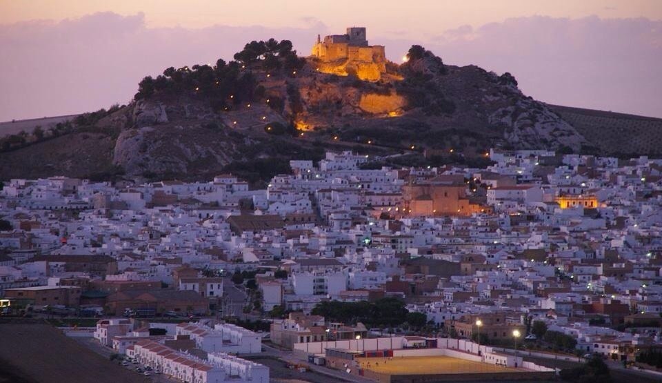 José Antonio tweet media