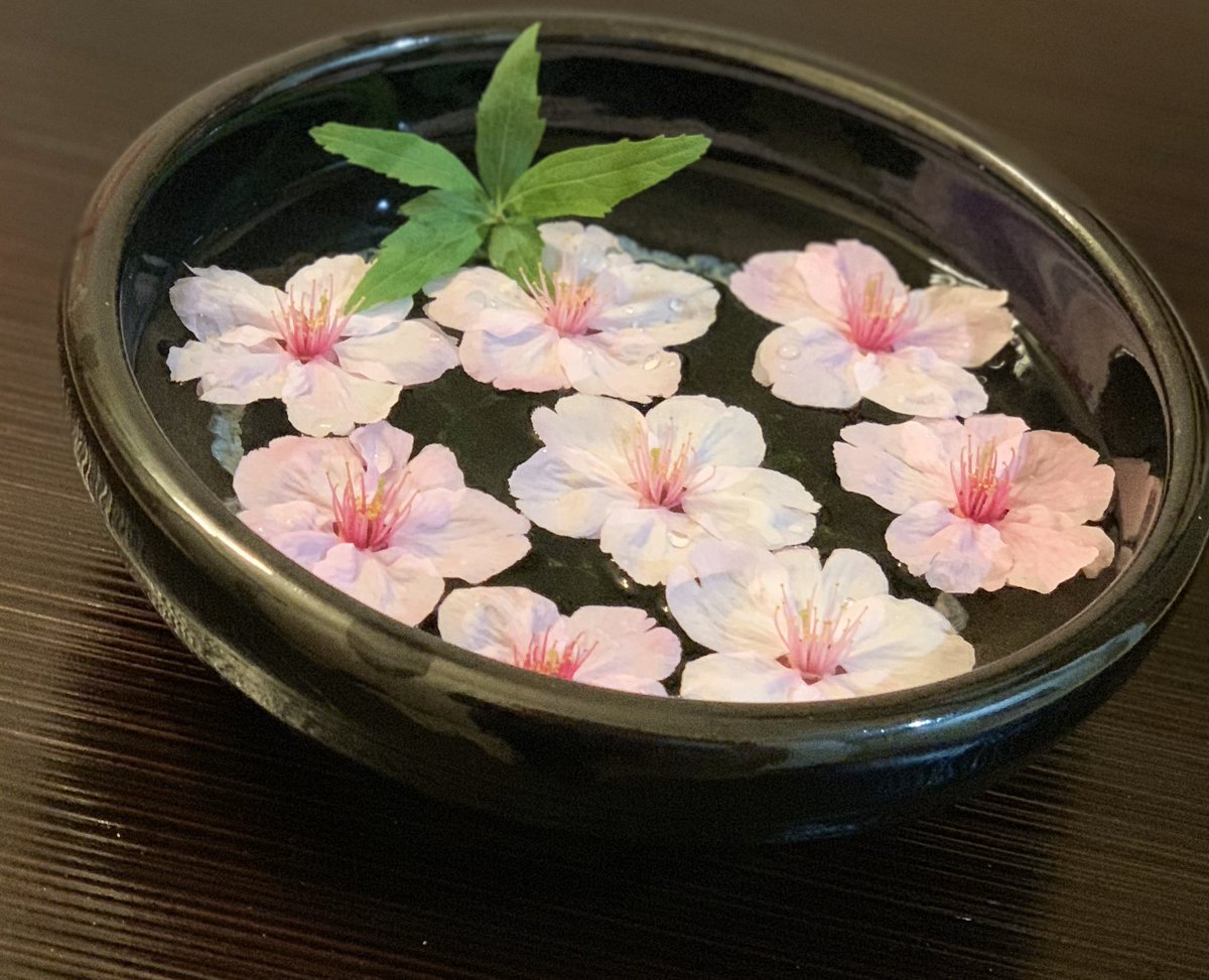 朝ジョグちゃん 浮かせ花 枝から落ちた陽光桜の花を水に浮かべてみました Ohayomorning 桜 おはよう も にんぐ T Co Zdapivx75s Twitter