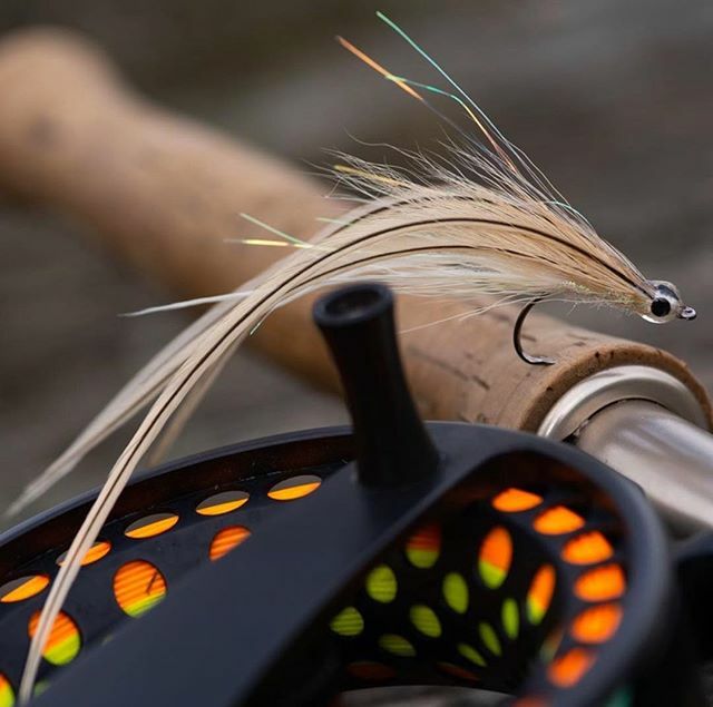 Lamson Fly Fishing tweet media