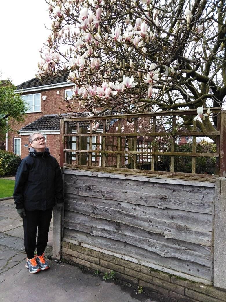 chickyuill1's tweet photo. THE CONSTANTLY-REMINDING MOVEMENT - NO 3
the perfect antidote to social-distancing and self-isolating

Saw this magnificent magnolia tree in a neighbour's garden.
I was reminded what a beautiful and fragile world this is. God, help us to take better care of it and of each other. https://t.co/WCg1BVVwSX
