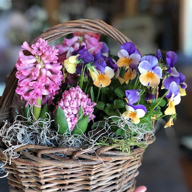 freshfancyfarms's tweet photo. you can’t stop the flowers. #freshandfancyfarms https://t.co/TBqX5zD7Ka https://t.co/NiB6bQU0Ns