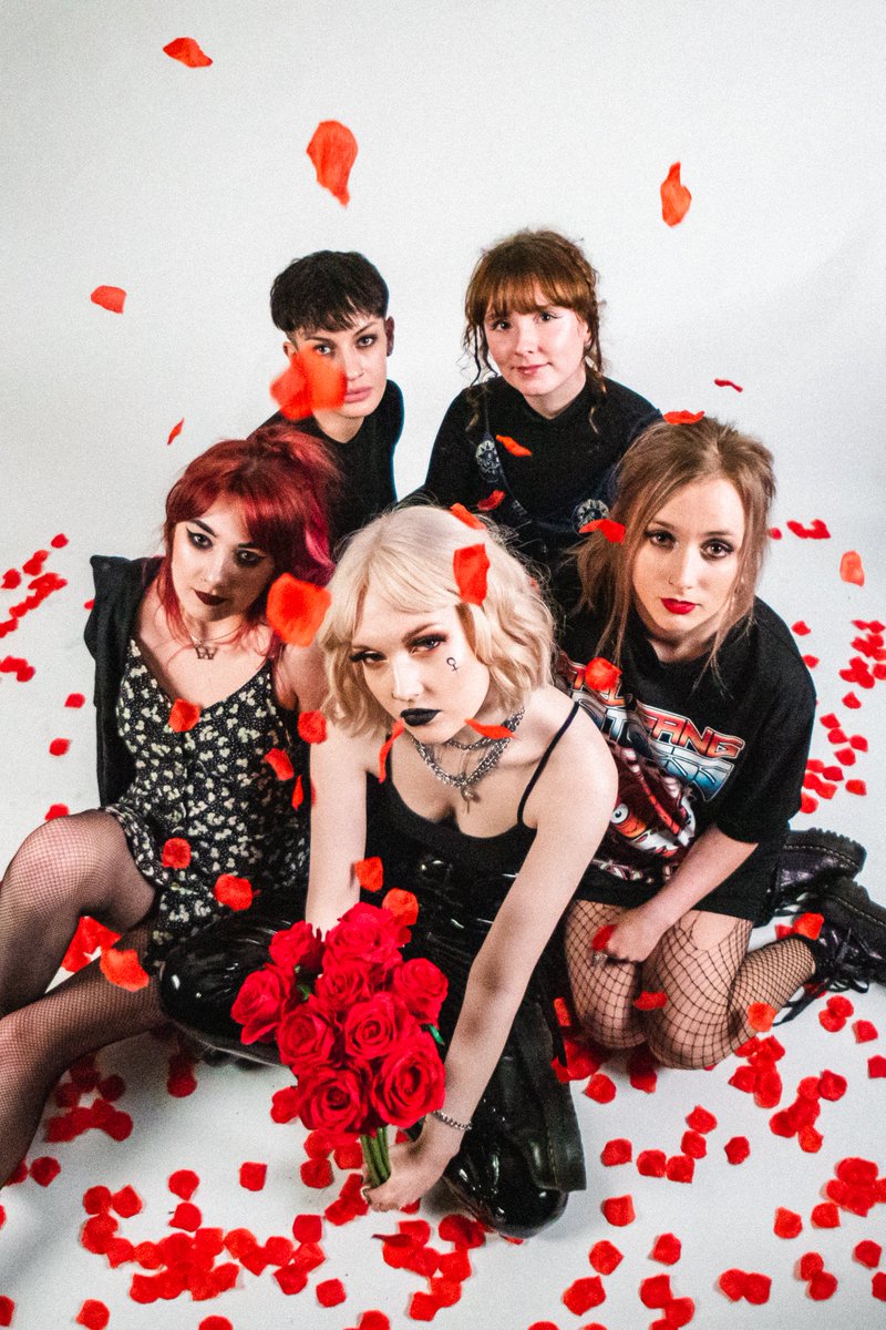 VENUS GRRRLS tweet media