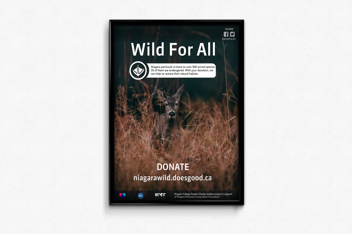 WildNiagara's tweet photo. More than ever, Niagara Wildlife needs your support! Even the smallest donation can make a meaningful impact.

#WildForAll #NiagaraWild #graphicdesigndoesgood #gddg @gddoesgood @NPCA_Foundation https://t.co/yCWcCkhWrj