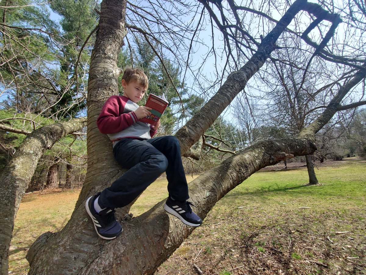 Lynnerbug's tweet photo. @RPPrincipal taking reading to a new level today! 📖🌳😂 #RPFamily #readingtree https://t.co/eR32BWKKvV