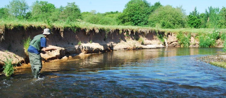 Spring scenes, hopefully to come soon on Devon's River Culm... a pleasant place to self isolate! Stay safe out there and keep fishing.