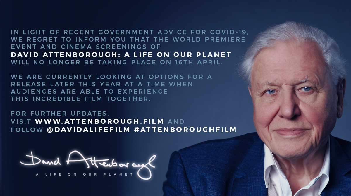 David Attenborough: A Life On Our Planet on Twitter: "An update from team: 👇 https://t.co/W33p7i6zRb" / Twitter