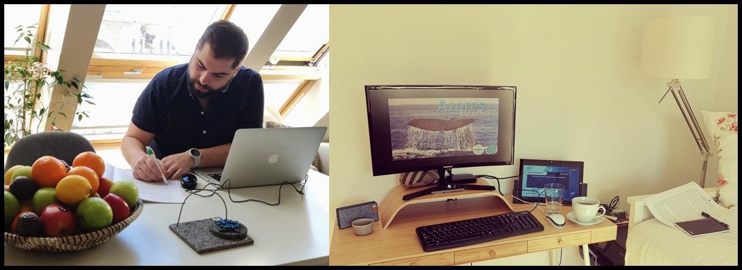 AzoresEUoffice's tweet photo. Day 01 of "#confinement". @AzoresEUoffice relocated and teleworking until April 5.
Always available to #azoreans in need.
Please, respect authorities:
BE: https://t.co/SwaPT6KsXv
PT: https://t.co/yuGjgOrpmP
Azores: https://t.co/KHXAkZhvjQ.
#COVID19PT #COVID19 #BrusselsLockdown https://t.co/aSJ7EmcSPC
