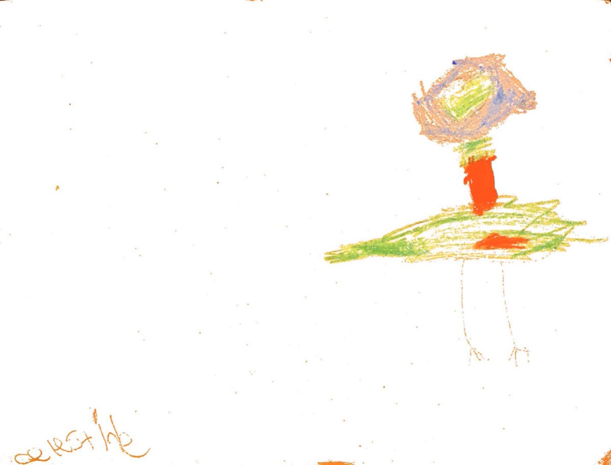 ht_cox's tweet photo. Thank you for the “Lunch Doodles” @MoWillems.  The kids love it, even in their pajamas.  Day 1 artwork attached @The_Pigeon https://t.co/LQtQjYOozy