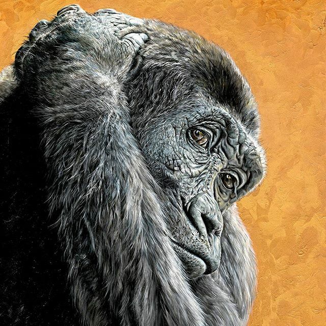 He's only gone and done it...... Alfred has been shortlisted in the Wildlife Artist Of The Year 2020 exhibition in the Mall Gallery London!!!! Thank you for selecting him @dswfwildlifeart @dswfwildlife I'm so looking forward to seeing him up in @mallgall… ift.tt/33toEzg