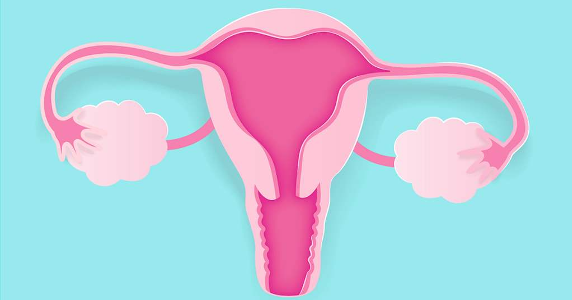 Change the Cycle tweet media