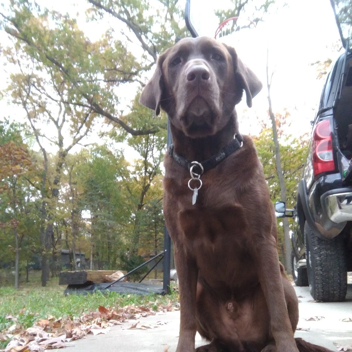 BCHS TYRO tweet media