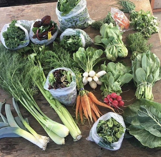 MillsapFarmSGF's tweet photo. Keeping it clean https://t.co/wdPC03nHzy https://t.co/vjbMrXcCDT