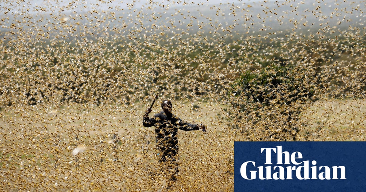 Ecospray's tweet photo. Scientists monitoring the movements of the worst locust outbreak in Kenya in 70 years are hopeful that a new tracking programme they will be able to prevent a second surge of the crop-ravaging insects. https://t.co/LiqlrxmNhi https://t.co/tNzmLRwzVT