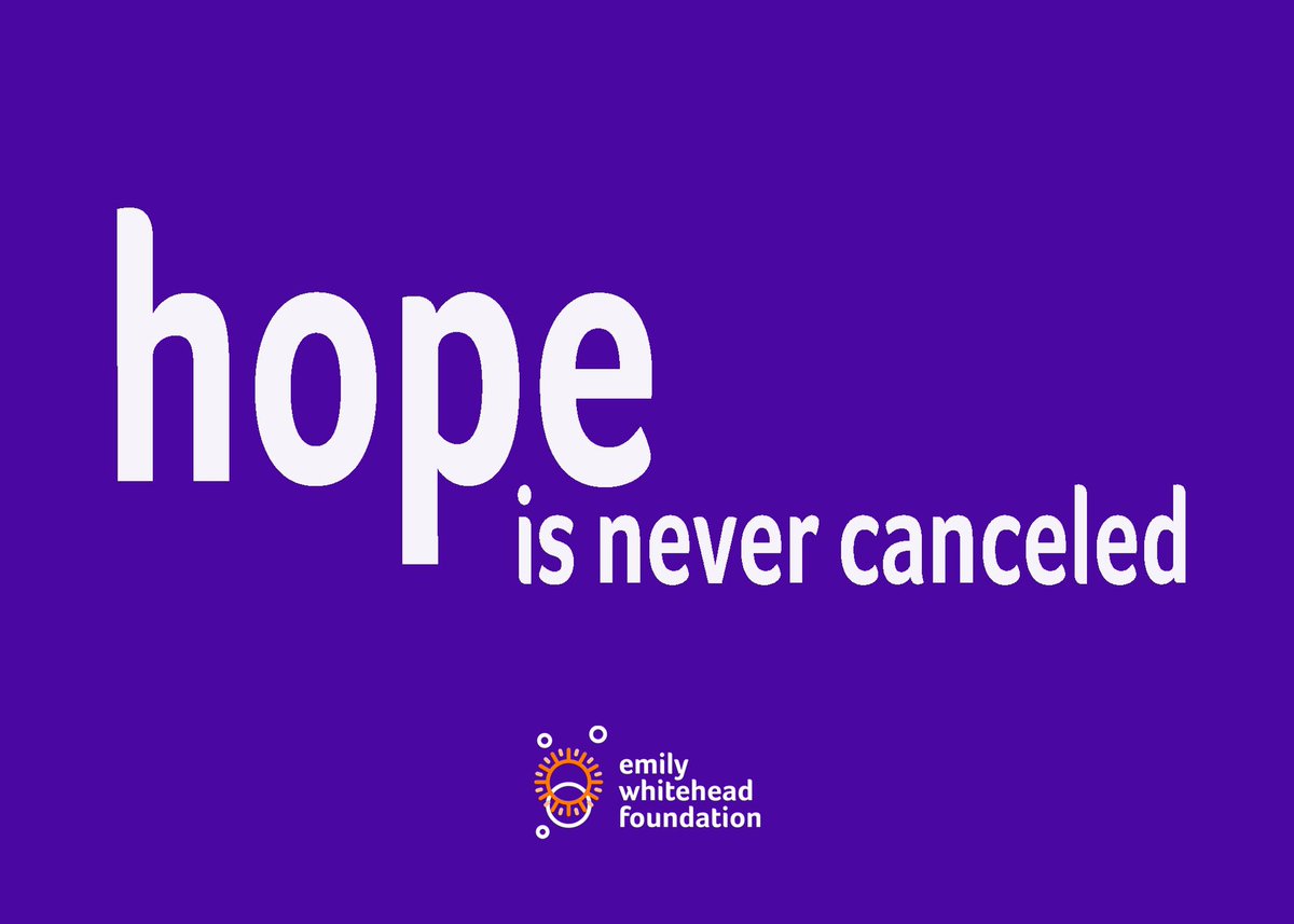 Emily Whitehead Foundation tweet media