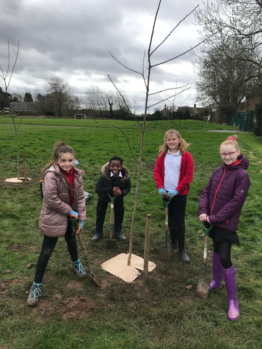 Greenwood Community Forest tweet media