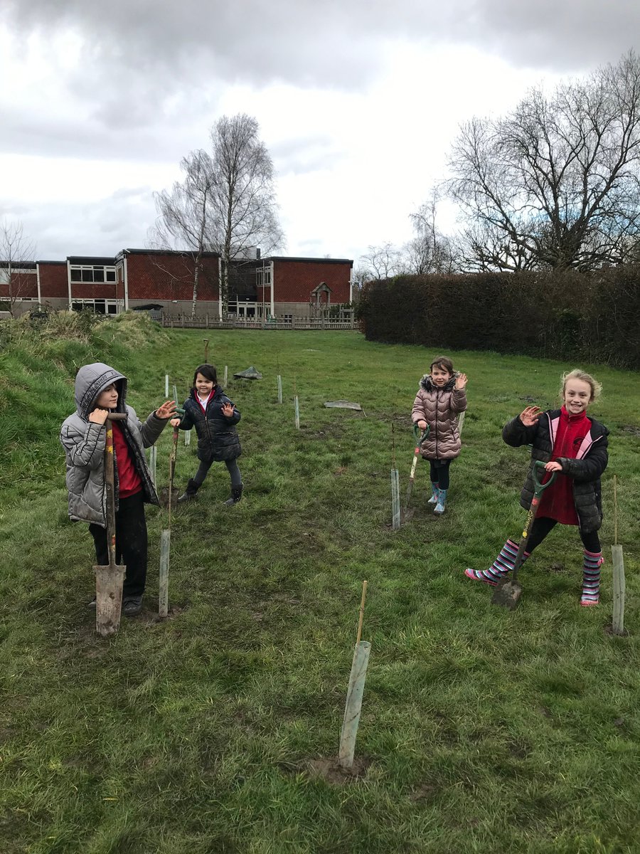 Greenwood Community Forest tweet media