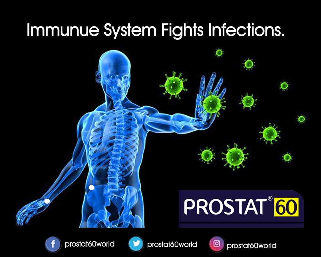 Prostat60World's tweet image. What is Immune System?🤔⁉️
🔻👇🏾
🔻👇🏾
🔻👇🏾
The Immune System are the Organs (Spleen, Bone Marrow and the Lymph Nodes) that Fights and Prevents  Viruses, Bacteria, Fungi and Parasitic Infections.

#FightCOVID19 #CODVID19 #coronavirus #Ghana #Accra #Immunesystem #prostate