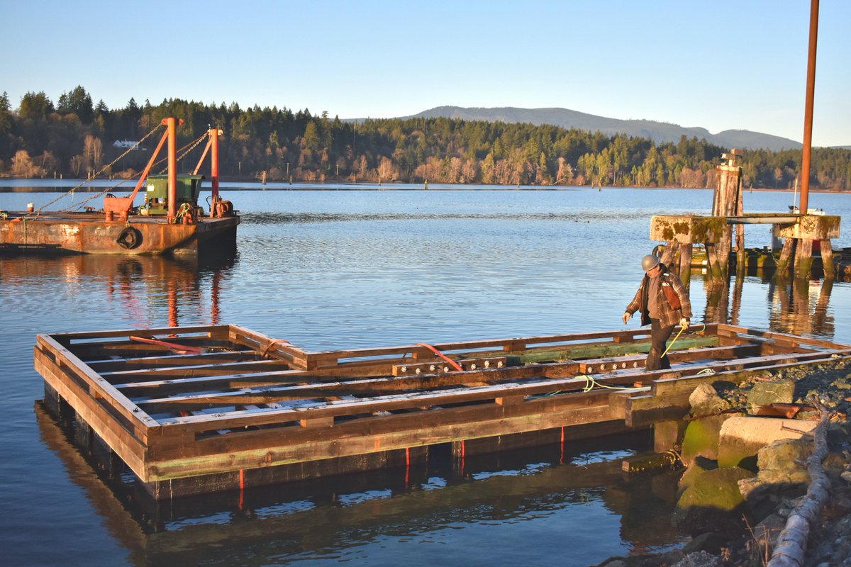 WCFloatation's tweet photo. Just a regular morning at work freezing our little buns off. 🥶

#dockbuilders #localbusiness https://t.co/EgYGlGz6mP
