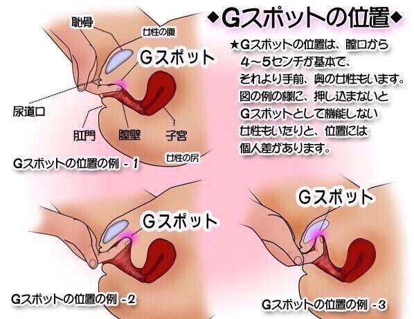 Gスポットってどこ 大人のアダルト知識 帝王学に学ぶ大人の恋愛塾21 人たらしの法則 Gスポットってどこ 大人のアダルト知識 帝王学に学ぶ大人の恋愛塾21 人たらしの法則