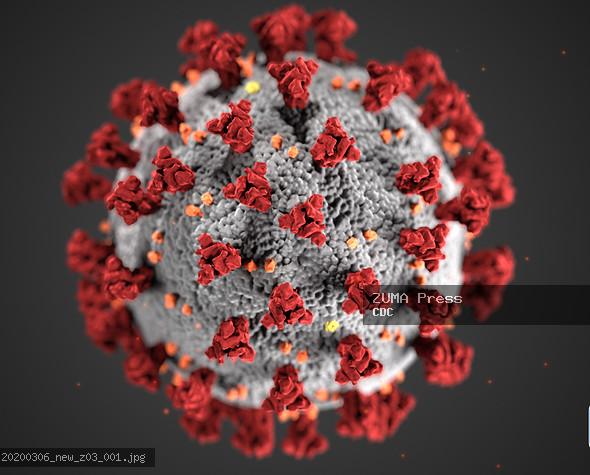 "Coronavirus COVID-19 Virus" by ZUMA Press