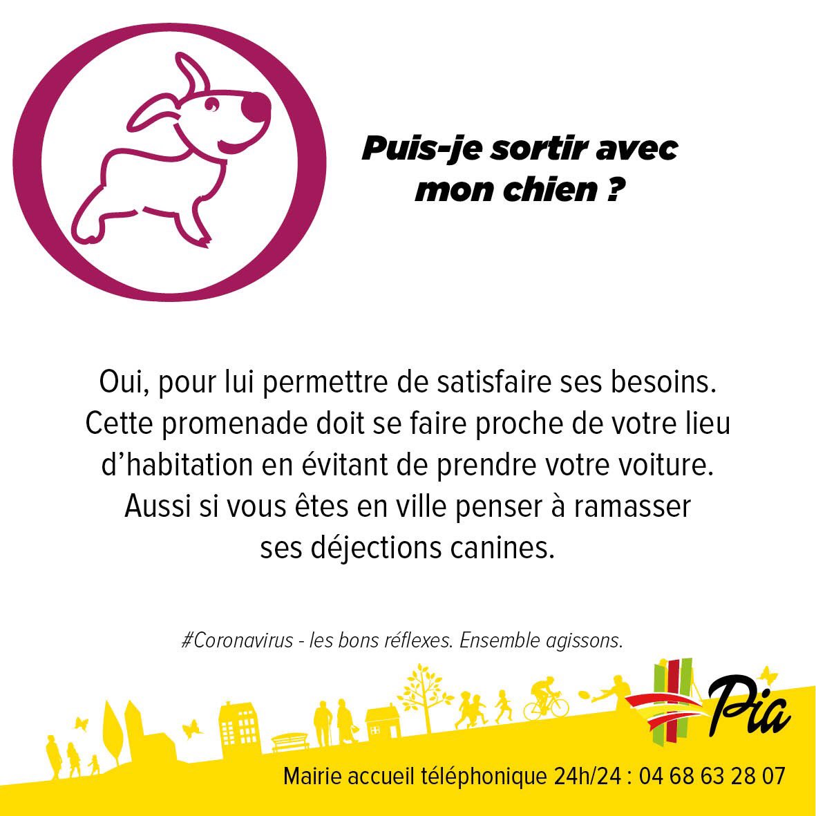 villedepia's tweet photo. #CoronaVirus #animaux https://t.co/EIc6EV3NUF