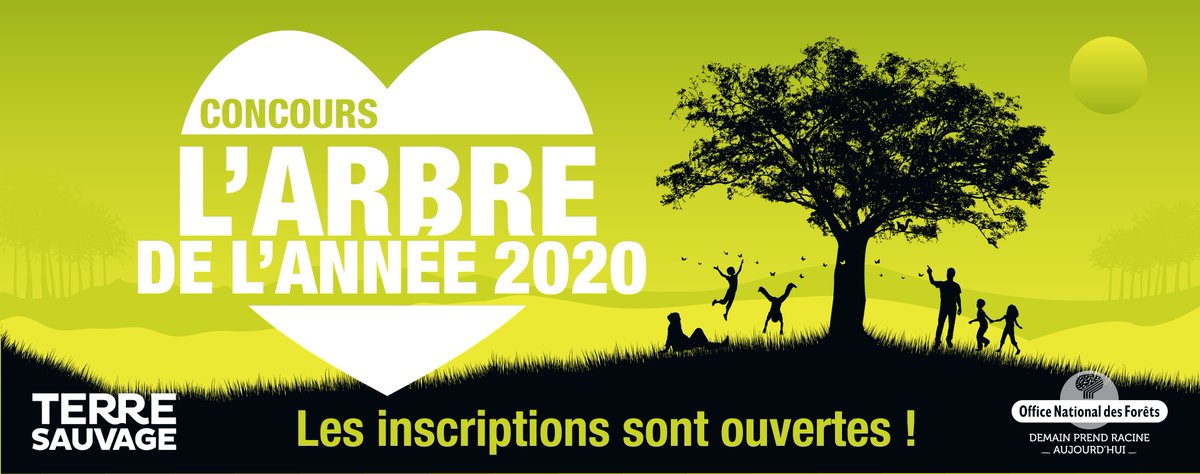 Office national des forêts (@onf_officiel) on Twitter photo 🌳 Ce concours-là n'est pas annulé ! 🌲<a href="/TerreSauvageMag/">Terre Sauvage</a> et l'#ONF lancent la 9ème édition du concours de l'Arbre de l'année. Chacun peut participer sans bouger de chez lui ! #jerestechezmoiaveclONF. ➡ onf.fr/onf/+/379 ! 🌳 Ce concours-là n'est pas annulé ! 🌲<a href="/TerreSauvageMag/">Terre Sauvage</a> et l'#ONF lancent la 9ème édition du concours de l'Arbre de l'année. Chacun peut participer sans bouger de chez lui ! #jerestechezmoiaveclONF. ➡ onf.fr/onf/+/379 !