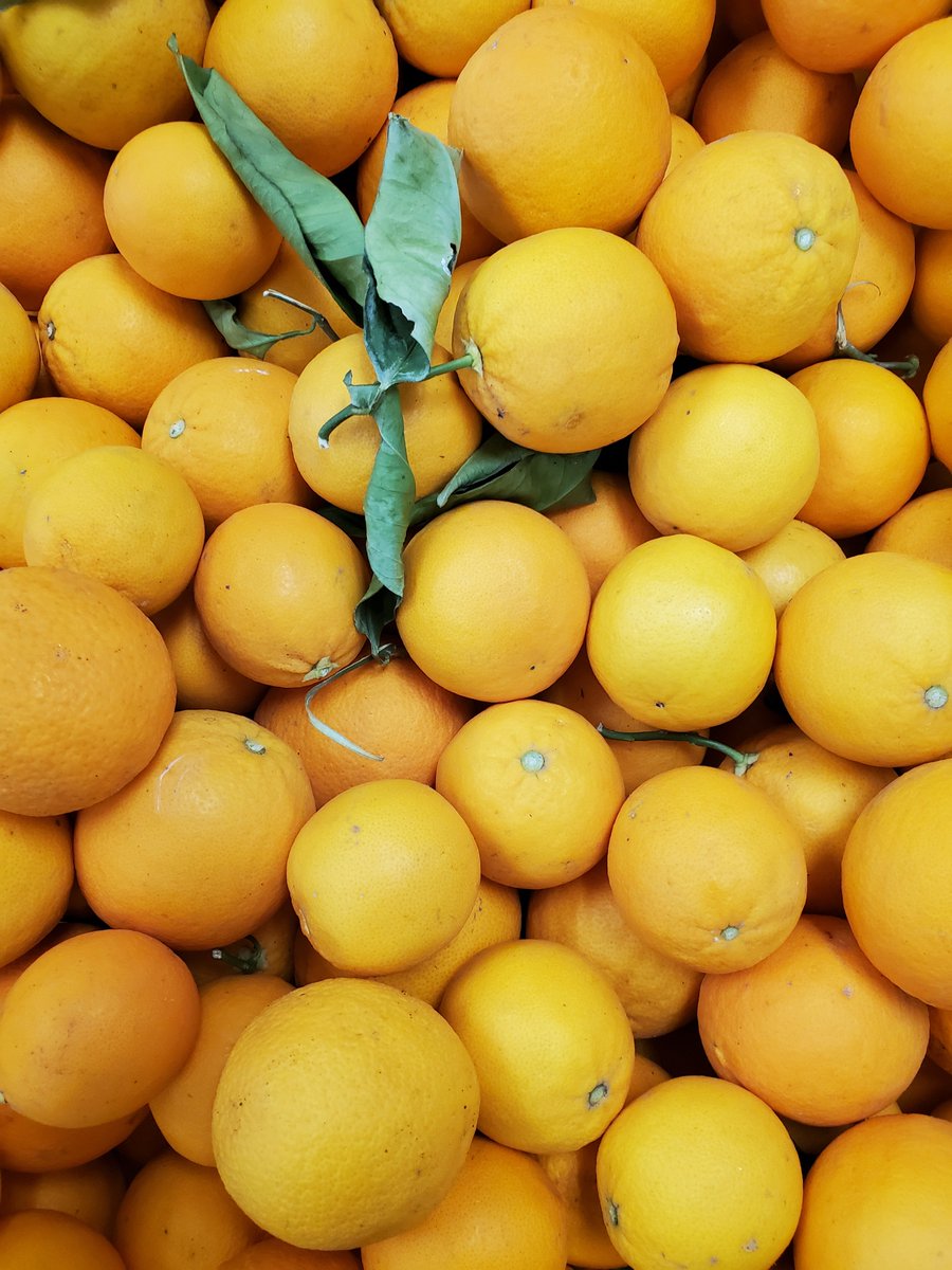 Fresher Sacramento tweet media