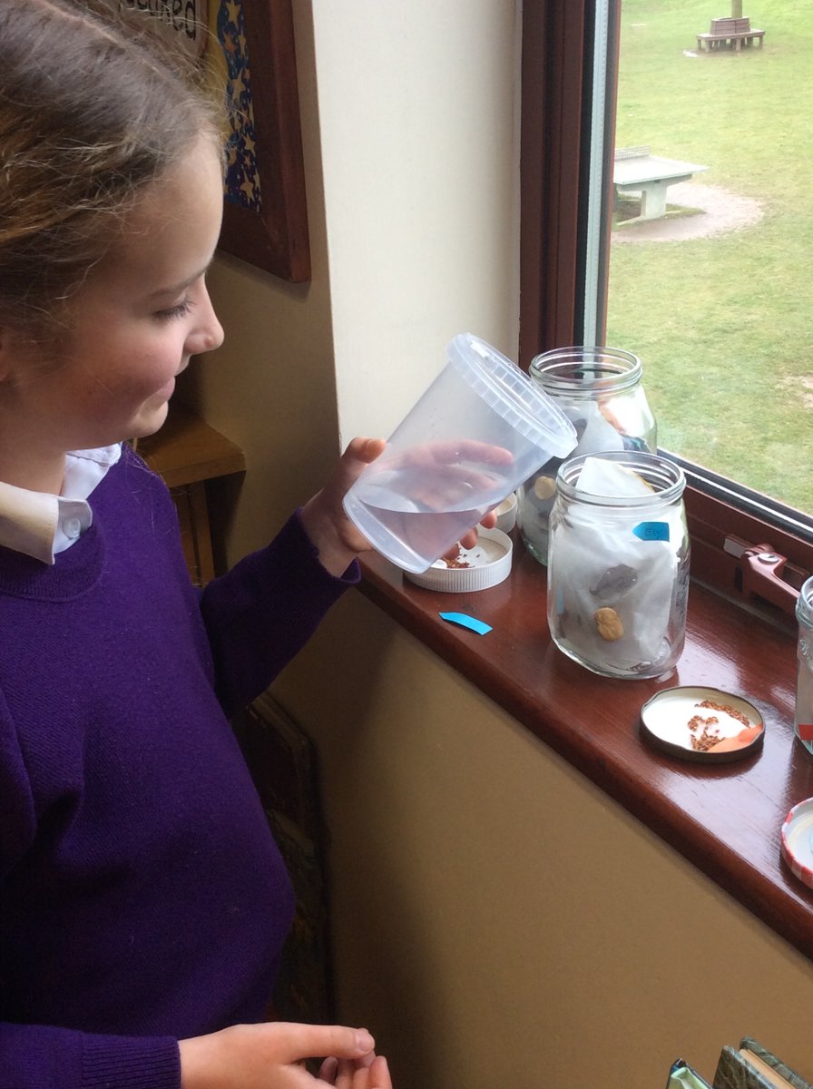 ellesmerecoll's tweet photo. Our Lower School students were enjoying learning about planting seeds and beans and watering them today in their Biology lessons!
#LifeAtEllesmere #ScienceAtEllesmere #STEM #BiologyAtEllesmere #ScienceForAll @ellesmerecoll @ECLowerschool @ECPS_Ellesmere https://t.co/ceYvQCdWWo