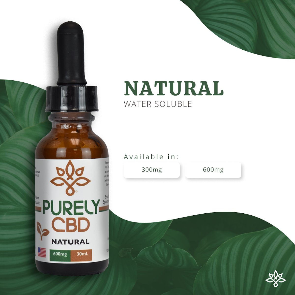purelycbd_uni's tweet photo. |Product Spotlight: Natural Water-Soluble| 

Crisp and clean, this water-soluble tincture is more subtle and perfect for those looking for a more natural experience.

https://t.co/Yg16kIMCFq https://t.co/jHjawt71qw