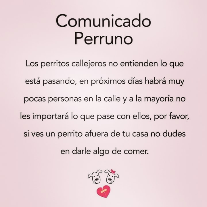 Sabemos q la vida humana es importante pero por favor cuidemos de nuestros amigos perrunos 🐕🙏 
Si puedes dejar bidones con agua por tu sector o si vas al centro lleva alimento adicional (si es q puedes)
Ellos también son importantes ! 
#DogLover 
#animalista
#veterinarios