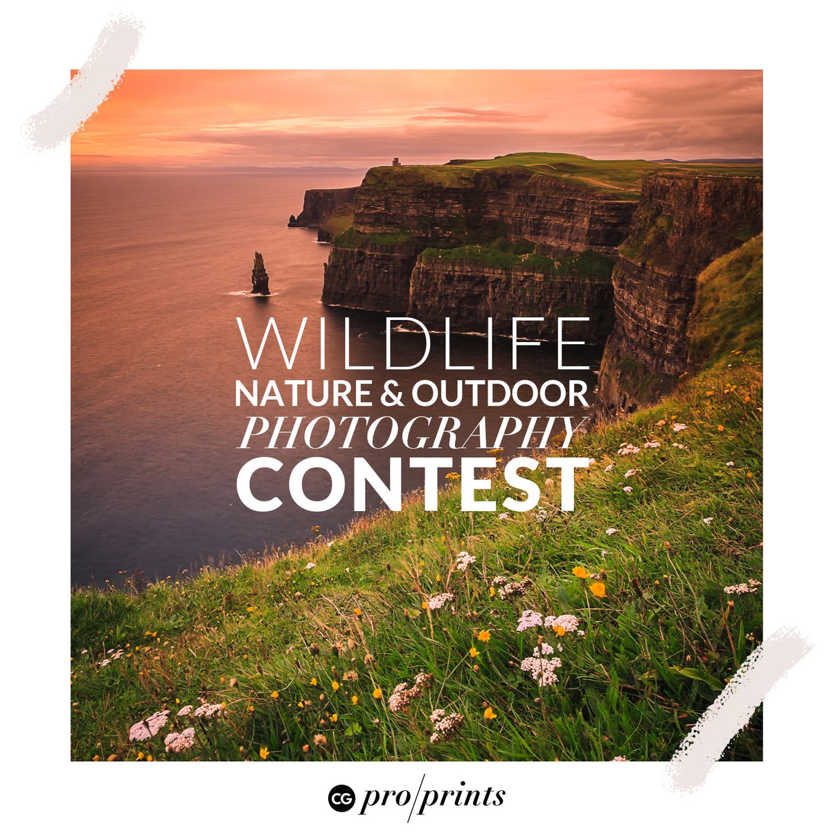 Enter for your chance to win $500 in print credits! 
Outdoor, Wildlife, Nature
- Photography Contest -
Enter by march 19th, 2020
bit.ly/CGphotocontest