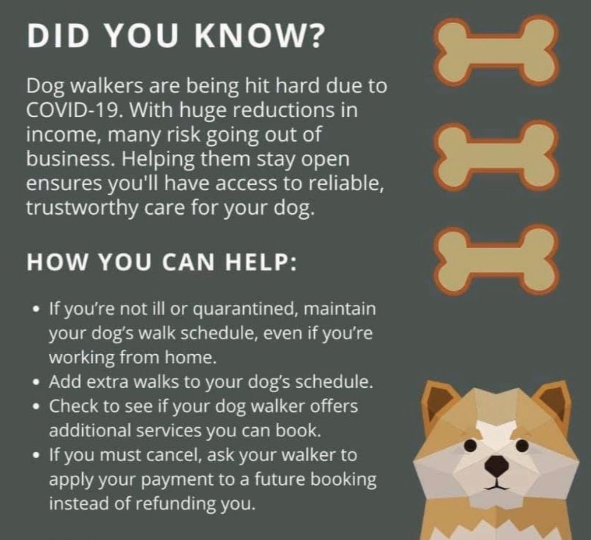 Thank you to our amazing clients for their continued love and support for our business. It’s a very scary time for small businesses and your words mean the world! Thank you to everyone, we are better together ❤️

#dogwalker #petservices #leamingtonspa #loveleam #warwickshire