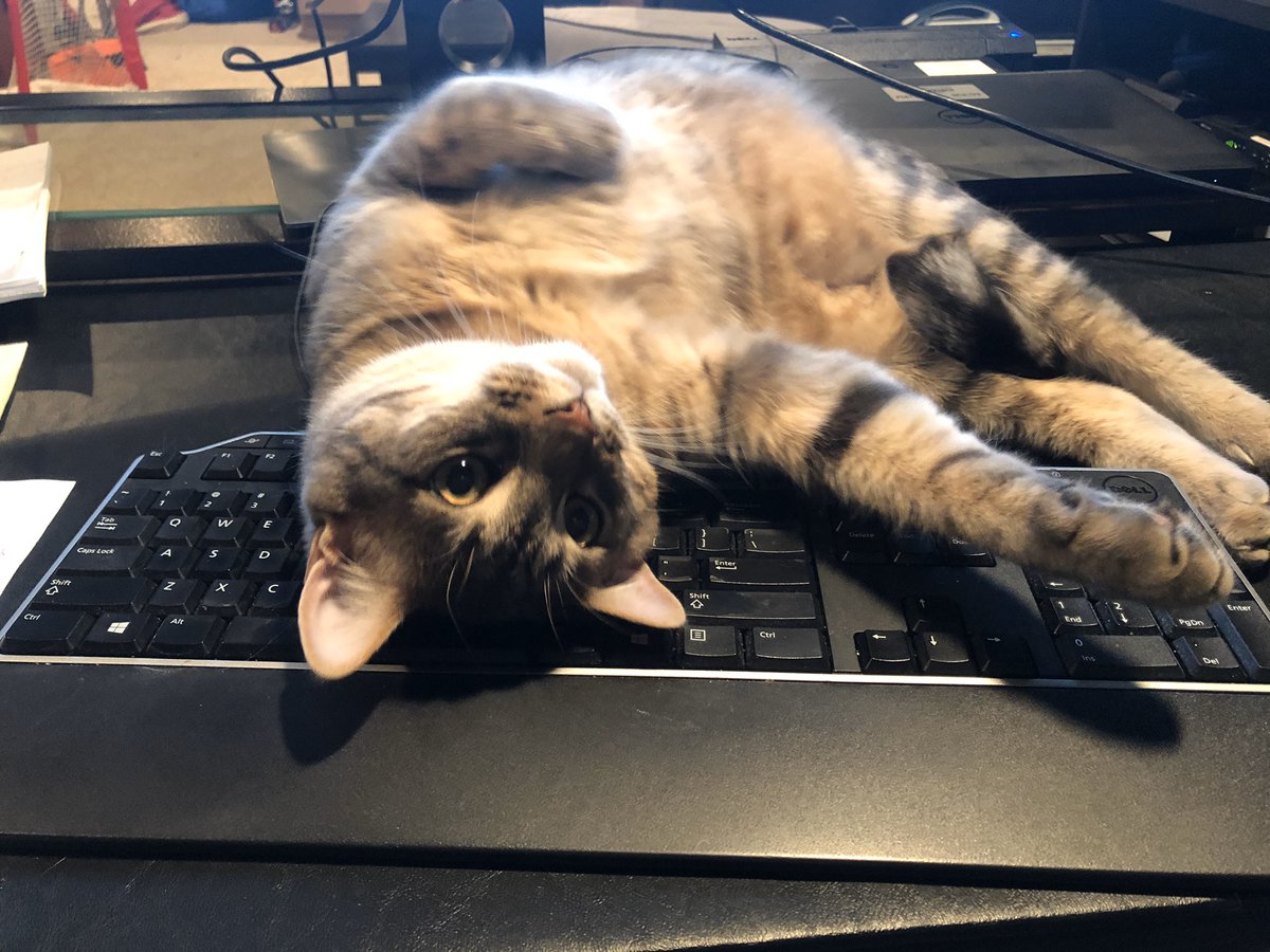 Emily Esser tweet media