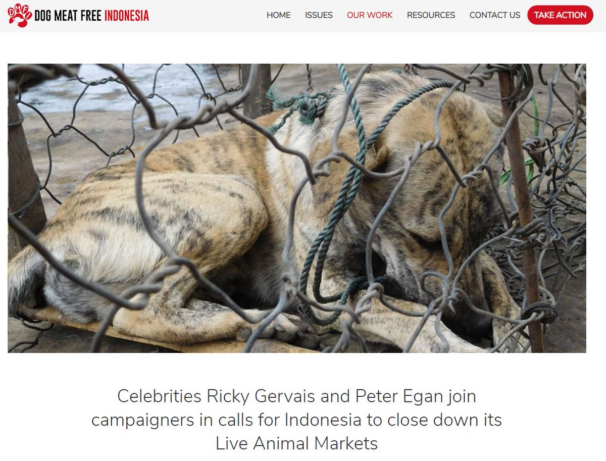 As the COVID-19 continues to cause global chaos &amp; fatalities, and Indonesia reports its first human infections, <a href="/rickygervais/">Ricky Gervais</a> and <a href="/PeterEgan6/">Peter Egan</a>
have joined the Dog Meat Free Indonesia coalition in our calls on the government to to close live animal markets. 
dogmeatfreeindonesia.org/our-work/news/…