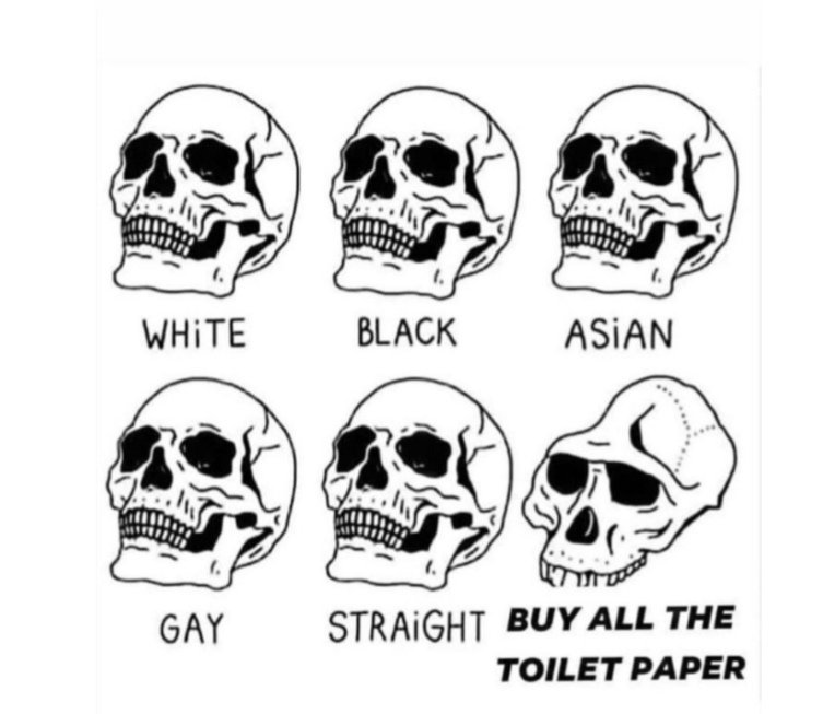 Die Katze miaut, der Hund bellt und die Biene summt.

Macht euch lieber mal darüber Gedanken.

#Klopapier #COVID2019