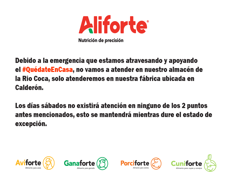 aviforte's tweet photo. https://t.co/UQtPkVstms