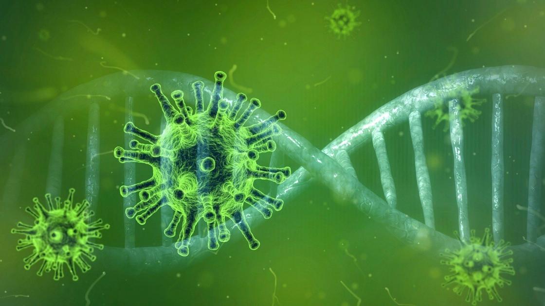 Study: Coronavirus can survive for up to 24 hours on cardboard, 3 days on plastics: trib.al/gcC1N9X